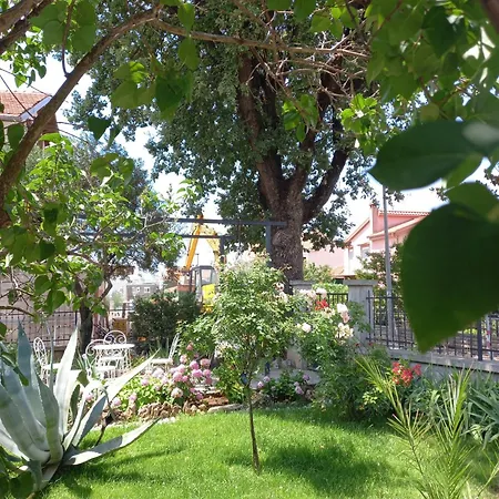 Apartament Kucica *