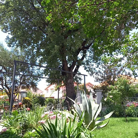 Kucica Apartament *
